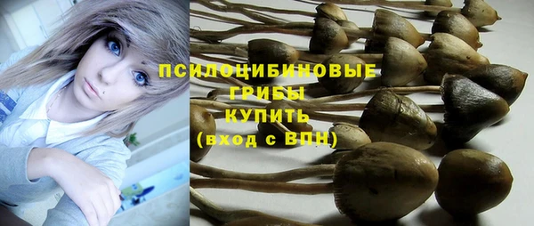 гидра Аркадак