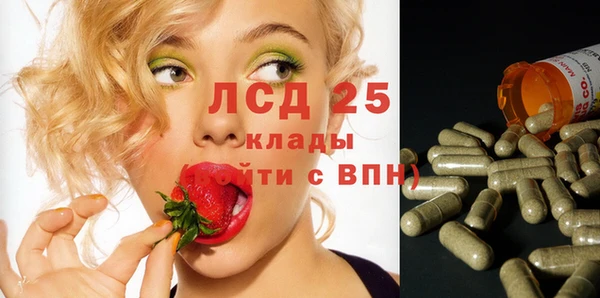 стафф Алзамай