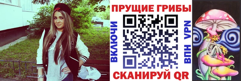 Галлюциногенные грибы Magic Shrooms  где найти   Бабаево 